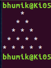 bhumikvaru.png